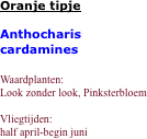  Oranje tipje