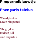  Pimpernelblauwtje