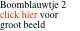 Boomblauwtje 2 click hier voor groot