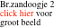 Br.zandoogje 2 click hier voor groot