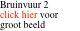 Bruinvuur 2 click hier voor groot