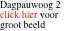 Dagpauwoog 2 click hier voor groot