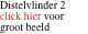 Distelvlinder 2 click hier voor groot