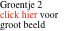 Groentje 2 click hier voor groot