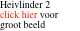 Heivlinder 2 click hier voor groot