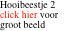 Hooibeestje 2 click hier voor groot