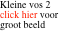 Kleine vos 2 click hier voor