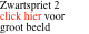 Zwartspriet 2 click hier voor groot