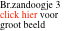 Br.zandoogje 3 click hier voor groot