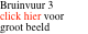 Bruinvuur 3 click hier voor groot