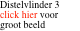 Distelvlinder 3 click hier voor groot