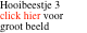 Hooibeestje 3 click hier voor groot