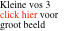 Kleine vos 3 click hier voor