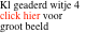 Kl geaderd witje 4 click hier