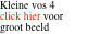 Kleine vos 4 click hier voor