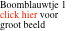 Boomblauwtje 1 click hier voor groot