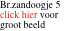 Br.zandoogje 5 click hier voor groot