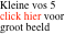 Kleine vos 5 click hier voor