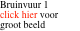 Bruinvuur 1 click hier voor groot