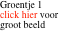 Groentje 1 click hier voor groot