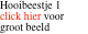 Hooibeestje 1 click hier voor groot