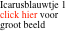 Icarusblauwtje 1 click hier voor groot