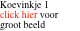 Koevinkje 1 click hier voor groot