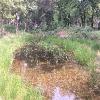 IMG7621a