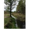 Sectie616mei2017IMG7576a